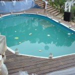 laguna swimming pool laguna swimming pool
