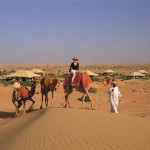 Dubai Maha-Camel-Ride Dubai Maha-Camel-Ride