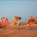dubai-camels dubai-camels